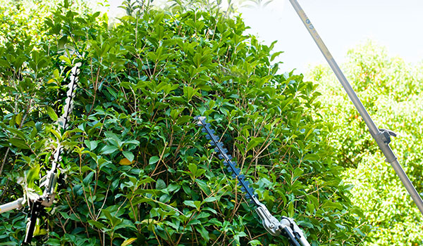 WUYI PASSION INDUSTRY AND TRADING CO.LTD