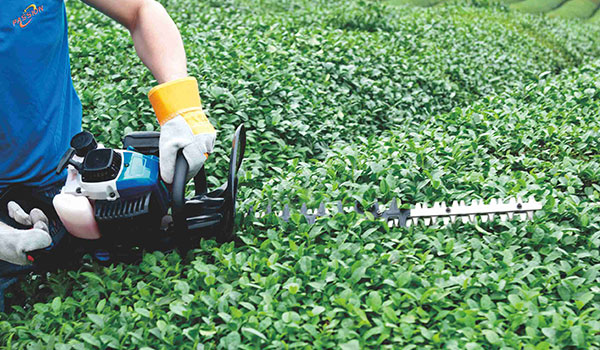 WUYI PASSION INDUSTRY AND TRADING CO.LTD