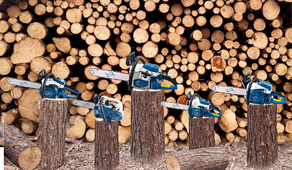 WUYI PASSION INDUSTRY AND TRADING CO.LTD